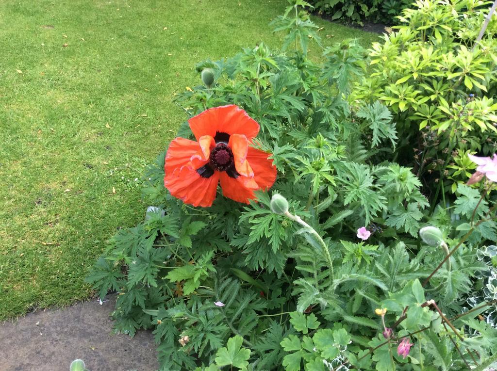 Willow Cottage B&B Yeadon Esterno foto