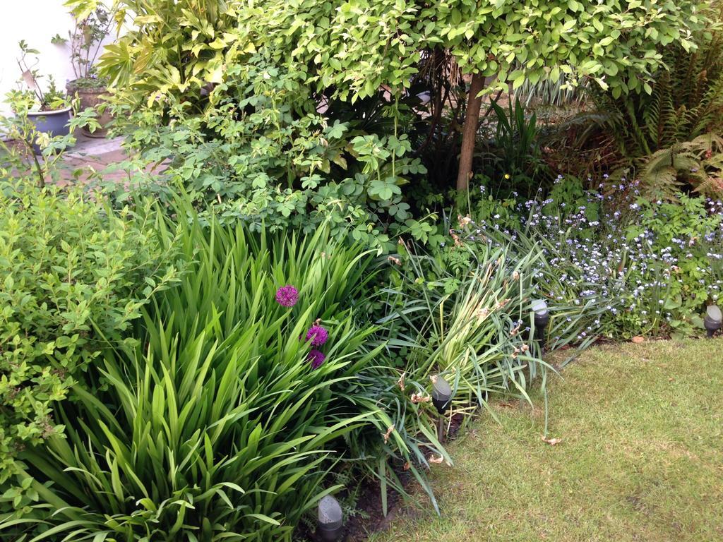Willow Cottage B&B Yeadon Esterno foto