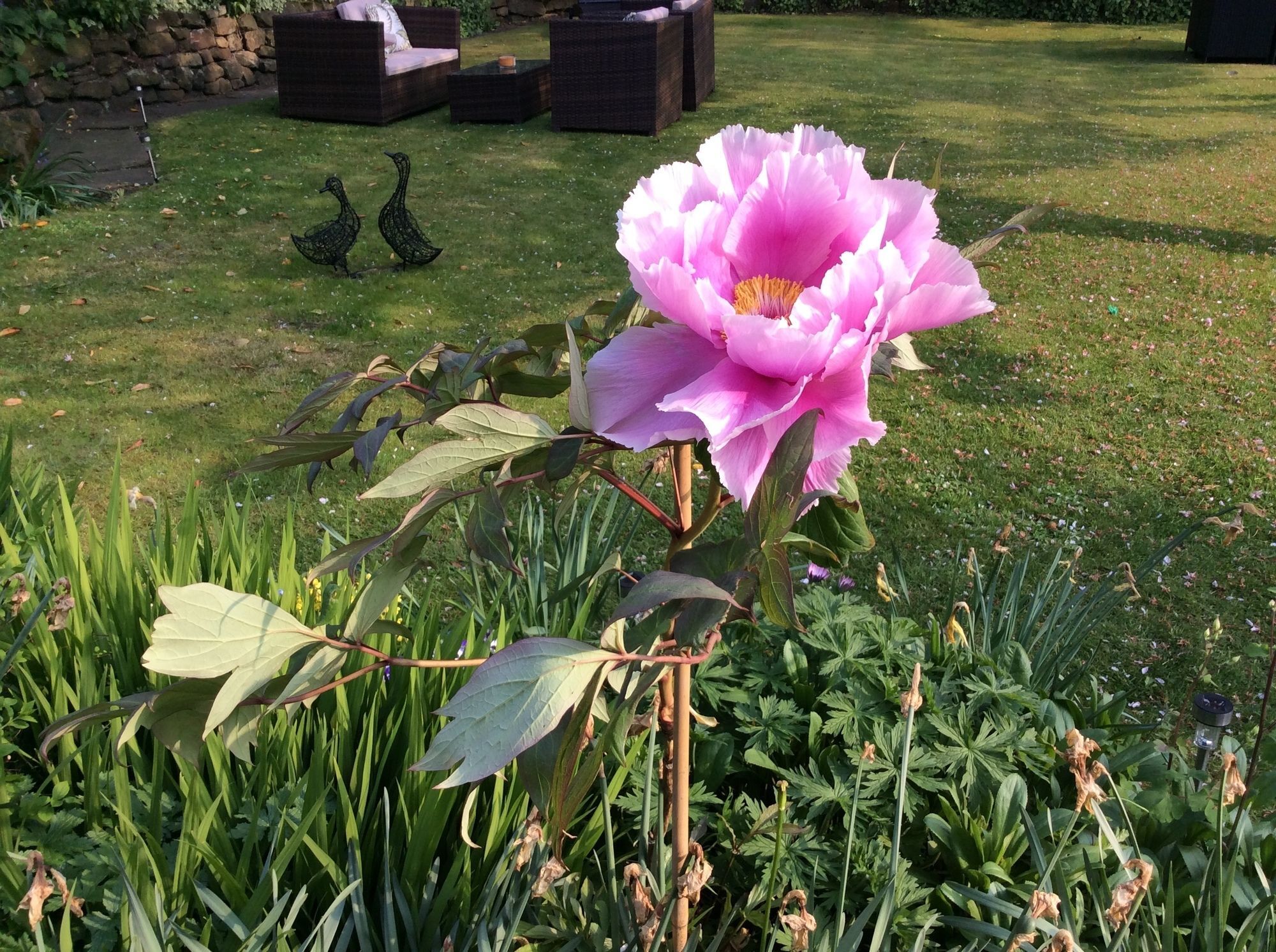 Willow Cottage B&B Yeadon Esterno foto